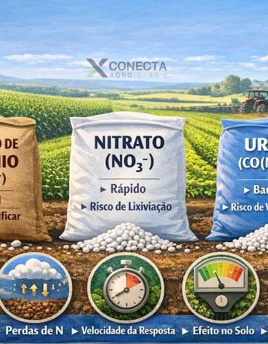 Amônio, nitrato e ureia: o que muda na prática pro produtor