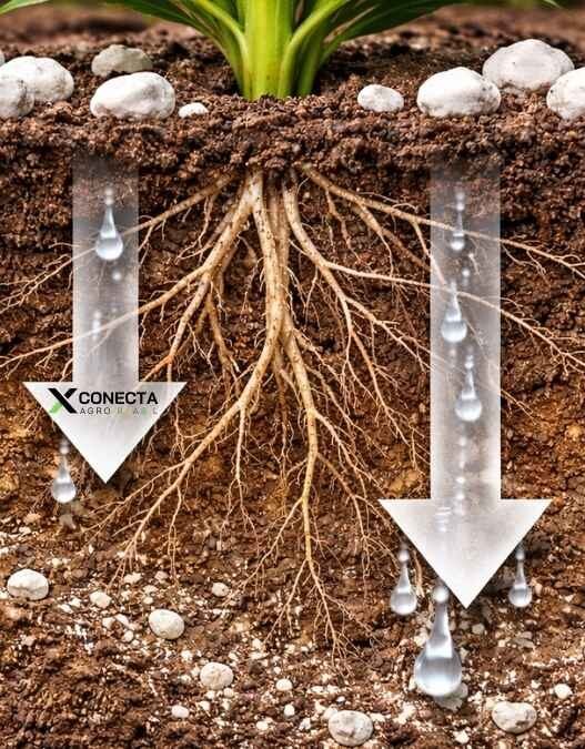 Cálcio baixo na CTC: o que fazer antes de jogar calcário