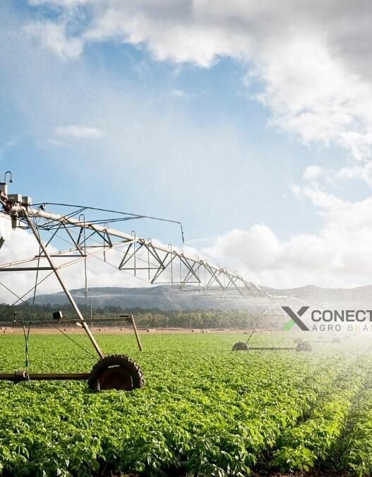 Manejo de solo para reter água