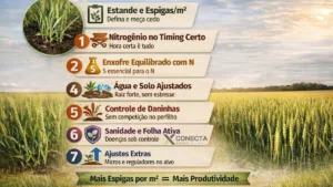 Trigo no perfilhamento: 7 decisões que definem quantos colmos viram espiga