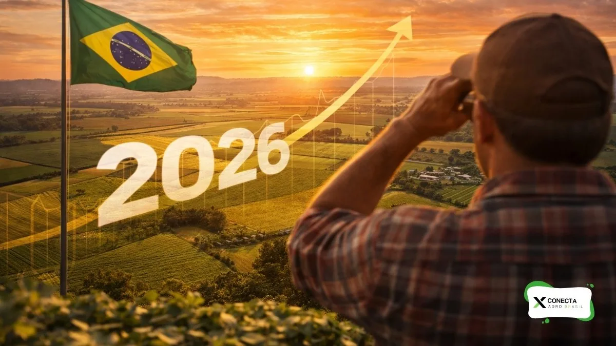 A atenção especial aumenta porque 2026 já aponta ajuste de área e produção no Brasil