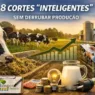Custo do leite: 8 cortes inteligentes sem derrubar produção