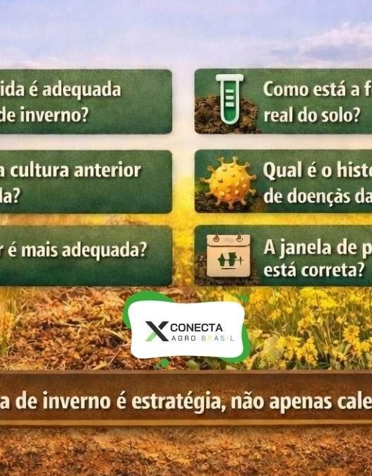 Antes de plantar trigo, canola ou aveia, responda estas perguntas técnicas
