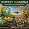 O erro número 1 na adubação que deixa a planta bonita e a colheita fraca
