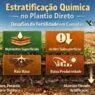 Estratificação química no plantio direto: quando o solo parece bom na análise e ruim na prática
