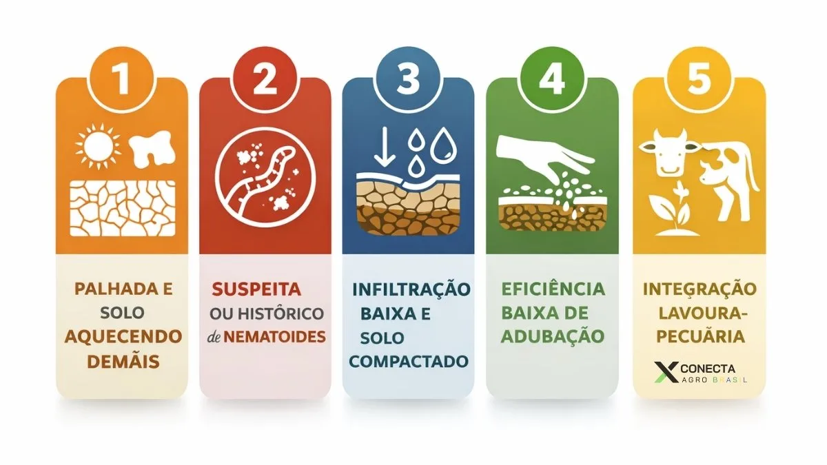 Exemplos práticos de lógica de construção de rotação