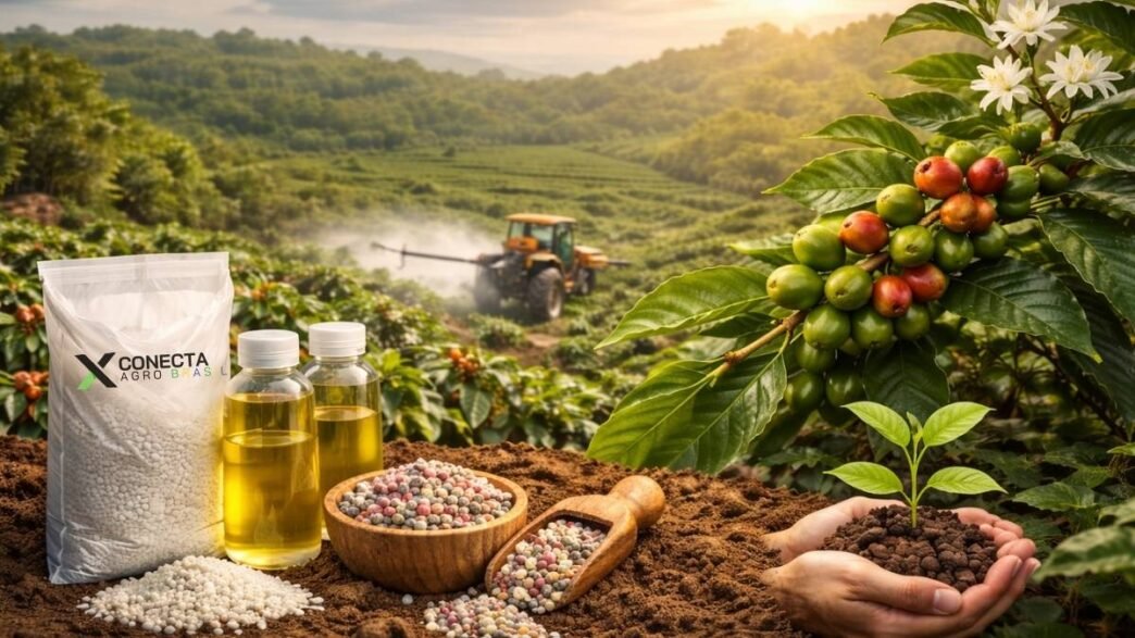 Fertilizantes para café: quais elevam vigor e uniformidade
