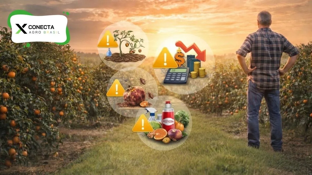 Os erros que mais derrubam a lucratividade na fruticultura