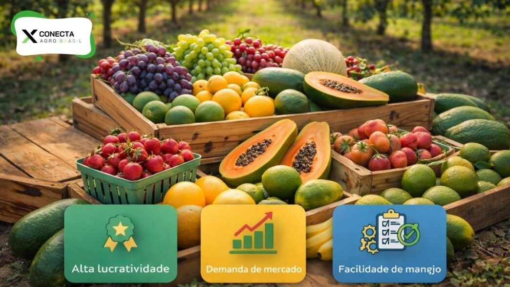 Frutas mais lucrativas para plantar