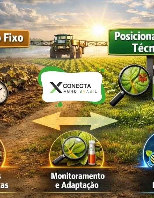 Fungicidas na soja: posicionamento técnico vale mais que calendário fixo