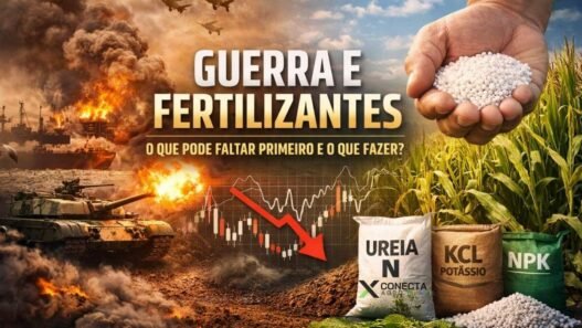 Guerra e fertilizantes: o que pode faltar primeiro e o que fazer?