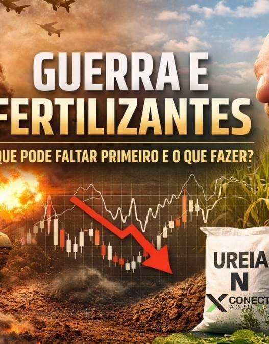 Guerra e fertilizantes: o que pode faltar primeiro e o que fazer?