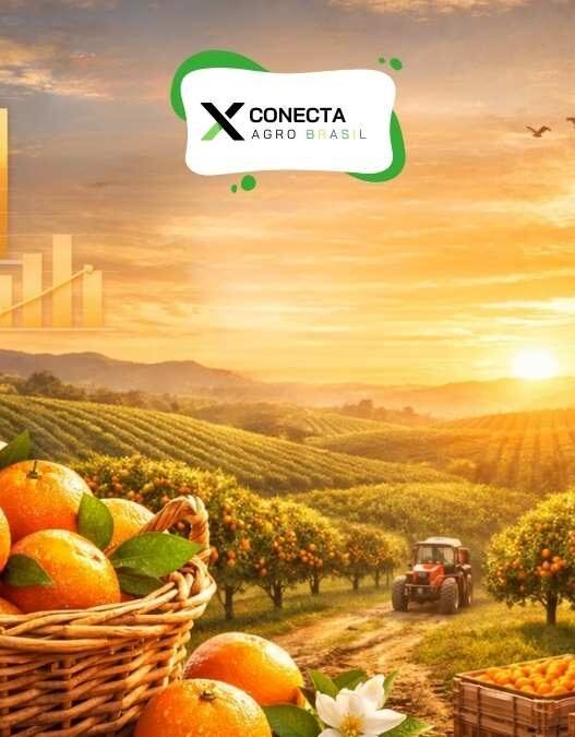 Conheça os Maiores Produtores de Laranja do Brasil