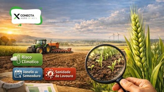 Antes de recomendar trigo, resolva estas decisões técnicas primeiro