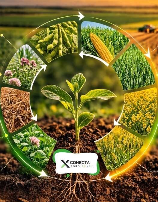 Rotação de culturas com critério técnico: como construir sistema, não só calendário