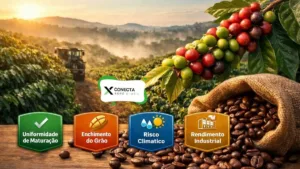 Café 2026: o que abril mostra e maio confirma sobre qualidade e rendimento