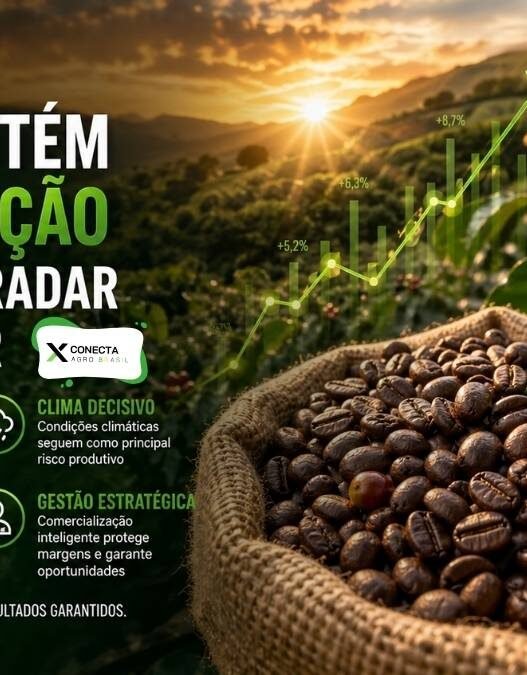 Café mantém valorização e segue no radar do produtor