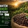 Café mantém valorização e segue no radar do produtor