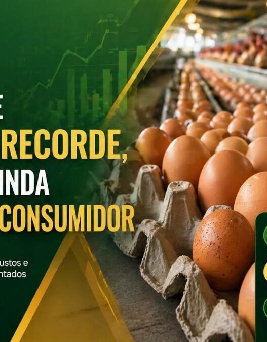 Produção de ovos bate recorde, mas preço ainda pressiona o consumidor
