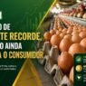 Produção de ovos bate recorde, mas preço ainda pressiona o consumidor