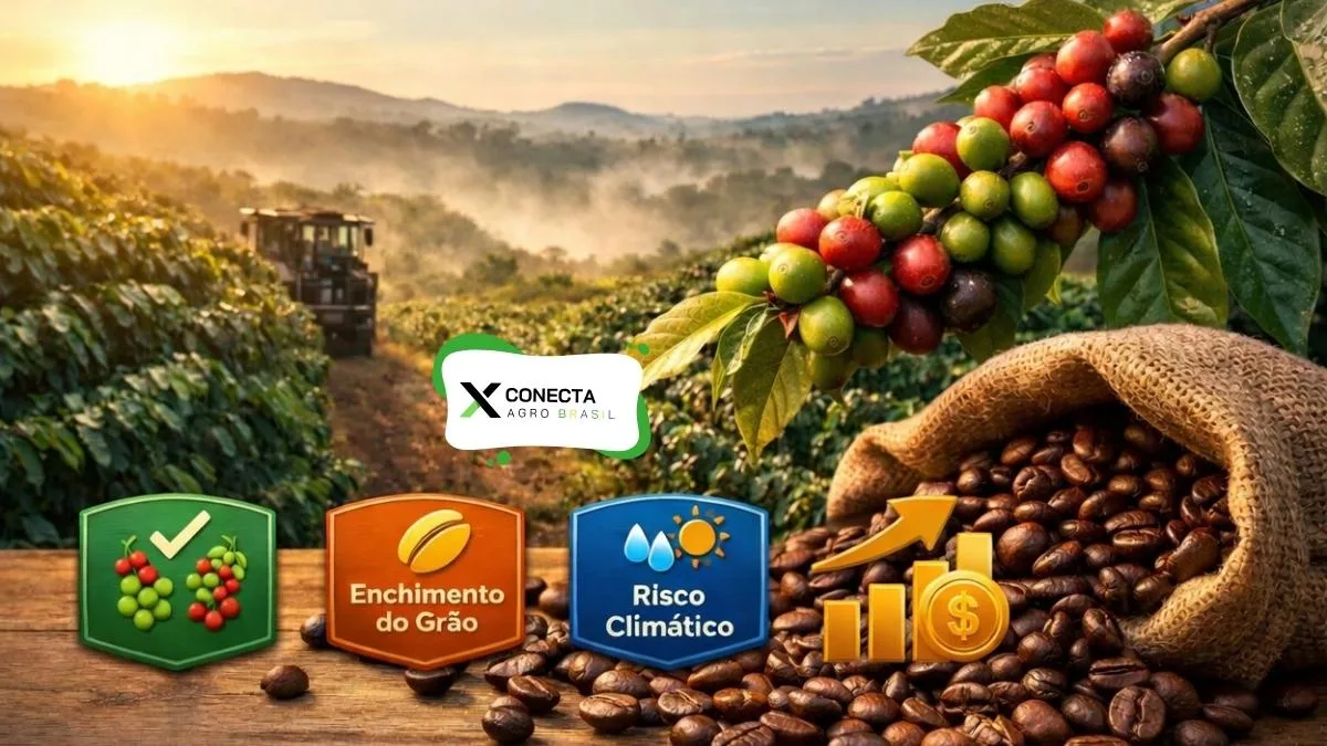 O que abril já pode mostrar sobre qualidade e rendimento