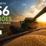 Safra recorde à vista: produção de grãos pode chegar a 356 milhões de toneladas