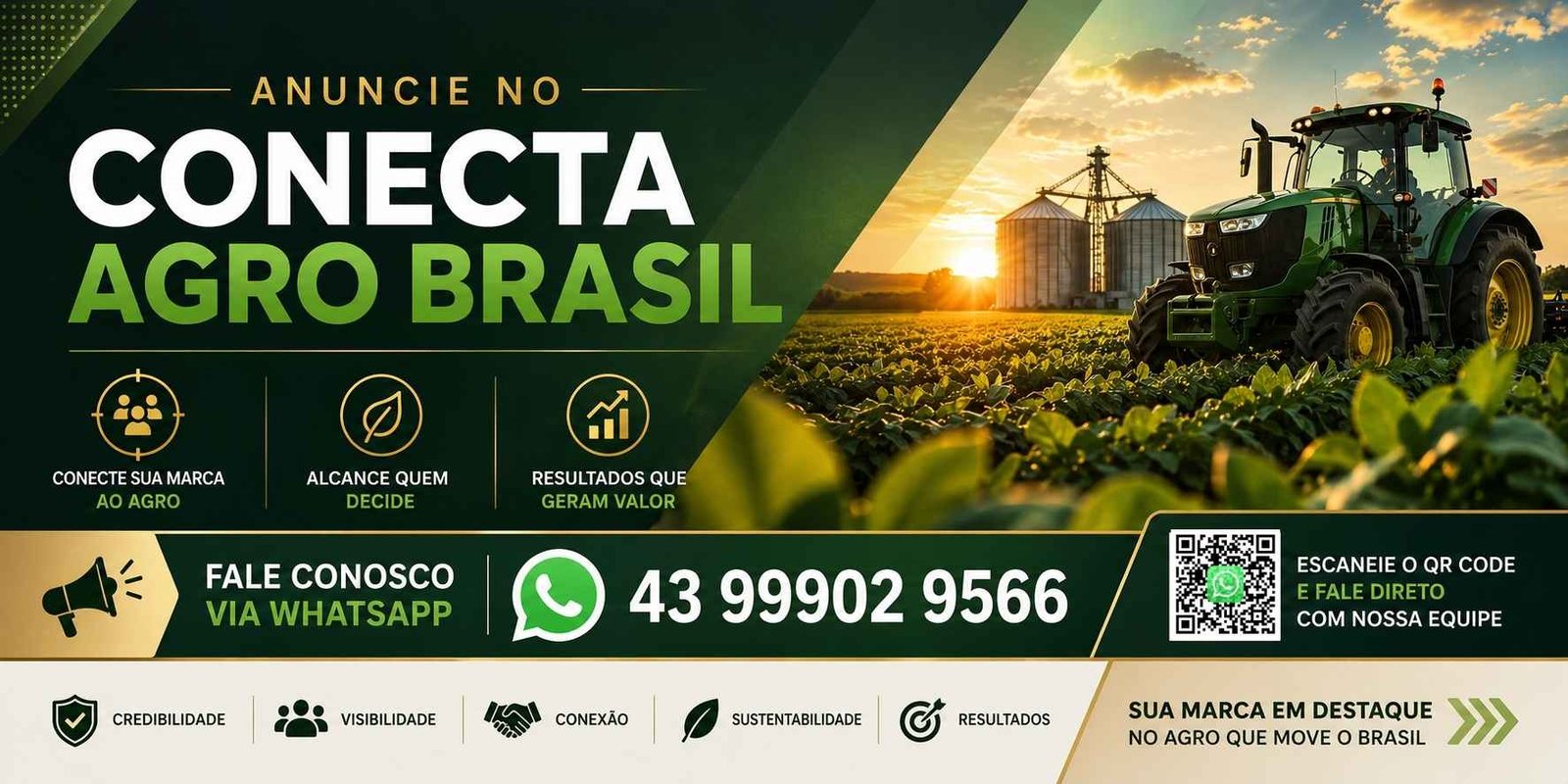 Publicidade