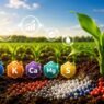 Como Escolher o Fertilizante Certo Para a Lavoura
