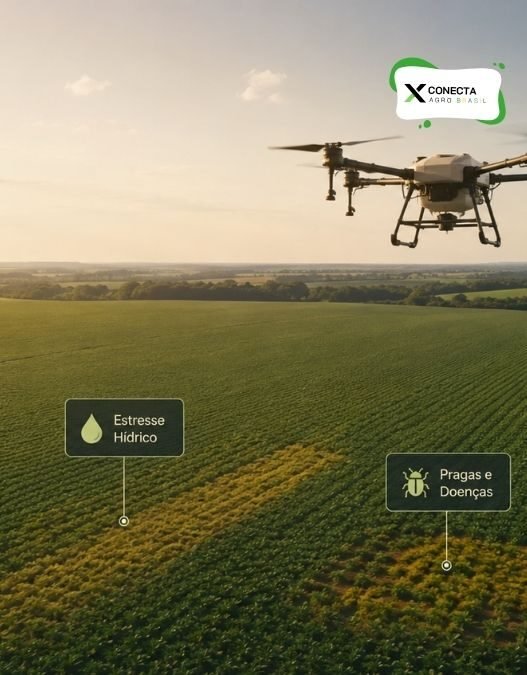 Drones na Agricultura: O Que Eles Realmente Conseguem Identificar na Lavoura