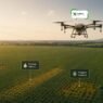 Drones na Agricultura: O Que Eles Realmente Conseguem Identificar na Lavoura