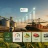 Agro Brasileiro em Alta: Exportações Batem Recorde e Margens Continuam Apertadas em 2026