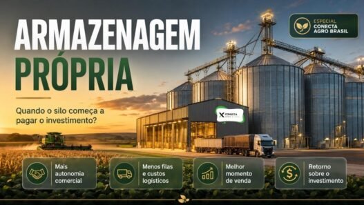 Armazenagem Própria: Quando o Silo Paga o Investimento?