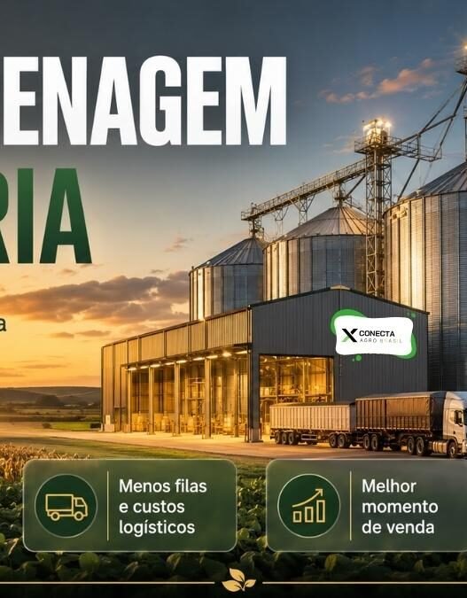 Armazenagem Própria: Quando o Silo Paga o Investimento?