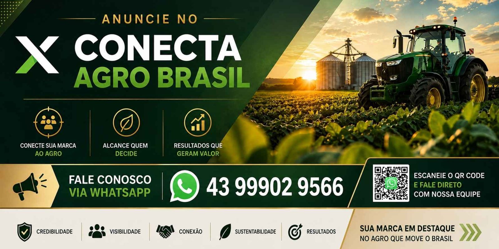 Publicidade