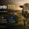 Boi Gordo em 2026: É Hora de Vender, Segurar ou Repor?