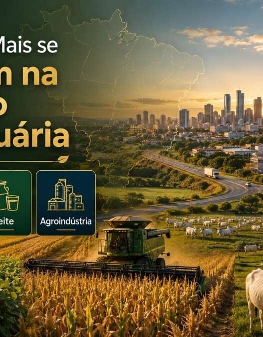 Cidades que mais se destacam na produção agropecuária