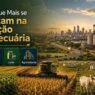 Cidades que mais se destacam na produção agropecuária