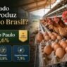 Qual Estado Mais Produz Ovos no Brasil?