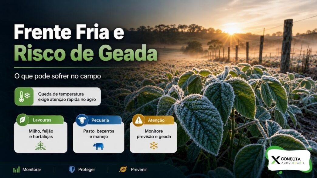 Frente Fria e Risco de Geada: O Que Pode Sofrer no Campo