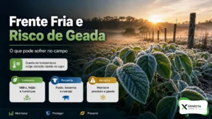 Frente Fria e Risco de Geada: O Que Pode Sofrer no Campo