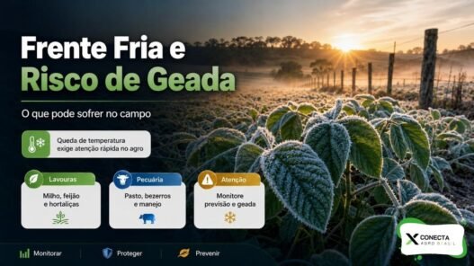Frente Fria e Risco de Geada: O Que Pode Sofrer no Campo