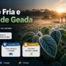 Frente Fria e Risco de Geada: O Que Pode Sofrer no Campo