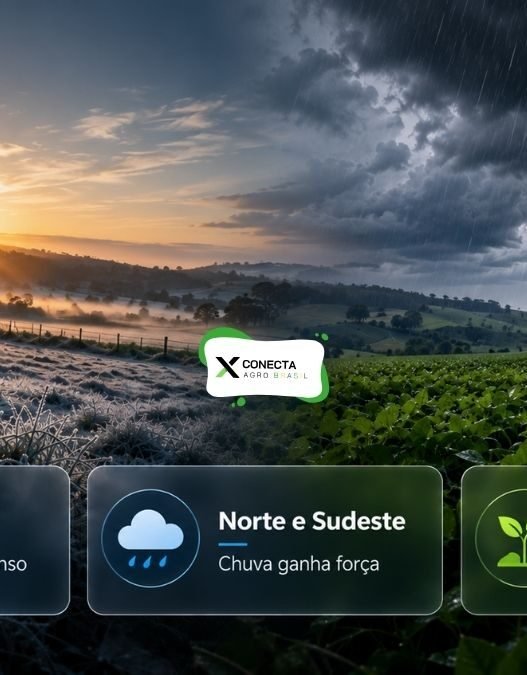 Frio e Geadas no Sul e Chuva Forte no Norte e Sudeste