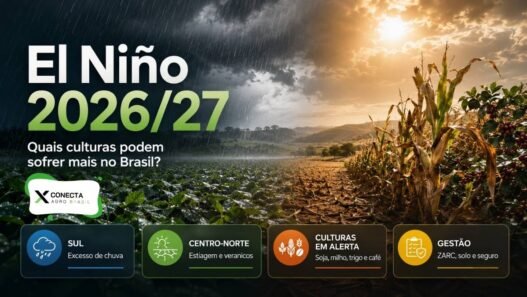 El Niño 2026/27: Quais Culturas Podem Sofrer Mais no Brasil?