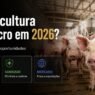 Suinocultura dá lucro em 2026?