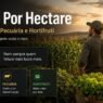 Lucro Por Hectare: Como Comparar Soja, Milho, Pecuária e Hortifruti