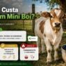Criar um mini boi custa menos que um boi comum