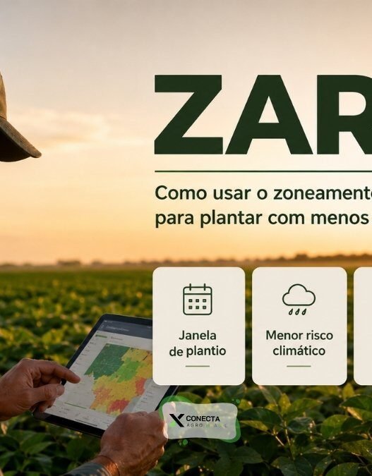 ZARC: Como Usar o Zoneamento Agrícola Para Plantar Com Menos Risco