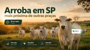 Arroba do Boi em São Paulo Perde Distância para Outros Estados e Muda a Conta do Pecuarista