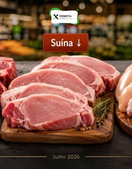 Carne Bovina e Suína Recuam em Julho, Enquanto Frango Ganha Espaço no Prato do Brasileiro